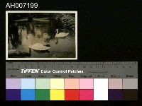 藏品(臺北新公園與台博館黑白相片)的圖片